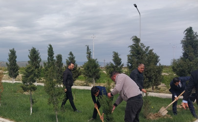 Ulu Öndər Heydər Əliyevin 103-cü il dönümünə həsr olunmuş ağacəkmə aksiyası təşkil olundu