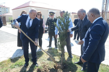 Ulu Öndər Heydər Əliyevin doğum günü münasibətilə iməcilik təşkil olundu, ağac və gül kolları əkildi