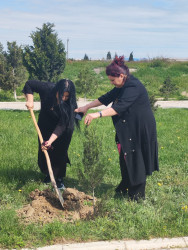 Ulu Öndər Heydər Əliyevin anadan olmasının 103-cü il dönümünə həsr olunmuş ağacəkmə aksiyası təşkil olundu