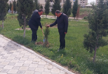 Ulu Öndər Heydər Əliyevin 103-cü il dönümünə həsr olunmuş ağacəkmə aksiyası təşkil olundu