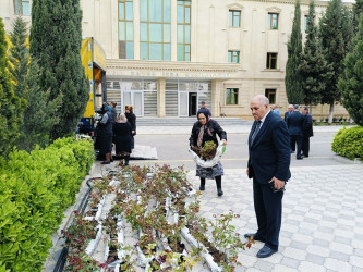 “Konstitusiya və Suverenlik İli” çərçivəsində  gül kolları əkildi