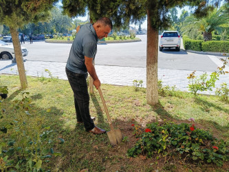 “Yaşıl dünya naminə həmrəylik ili” ilə əlaqədar gül kolları əkildi