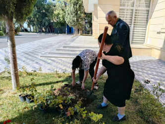 “Yaşıl dünya naminə həmrəylik ili” ilə əlaqədar gül kolları əkildi