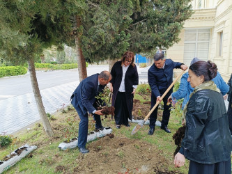 “Konstitusiya və Suverenlik İli” çərçivəsində  gül kolları əkildi