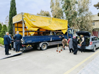“Konstitusiya və Suverenlik İli” çərçivəsində  gül kolları əkildi
