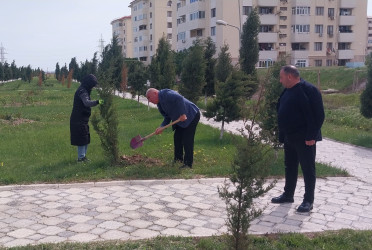 Ulu Öndər Heydər Əliyevin 103-cü il dönümünə həsr olunmuş ağacəkmə aksiyası təşkil olundu