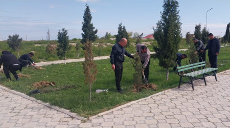 Ulu Öndər Heydər Əliyevin anadan olmasının 103-cü il dönümünə həsr olunmuş ağacəkmə aksiyası təşkil olundu