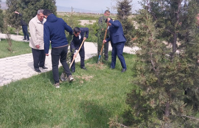 Ulu Öndər Heydər Əliyevin 103-cü il dönümünə həsr olunmuş ağacəkmə aksiyası təşkil olundu