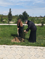 Ulu Öndər Heydər Əliyevin anadan olmasının 103-cü il dönümünə həsr olunmuş ağacəkmə aksiyası təşkil olundu