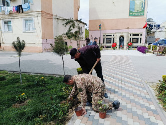 “Konstitusiya və Suverenlik İli” çərçivəsində  gül kolları əkildi