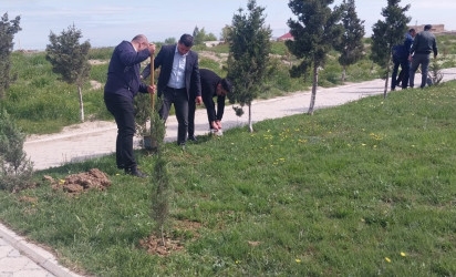 Ulu Öndər Heydər Əliyevin anadan olmasının 103-cü il dönümünə həsr olunmuş ağacəkmə aksiyası təşkil olundu