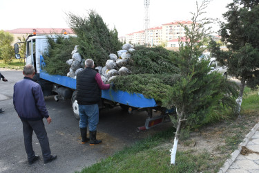 25 oktyabr Qubadlı Şəhəri Günü ilə əlaqədar tədbir keçirildi