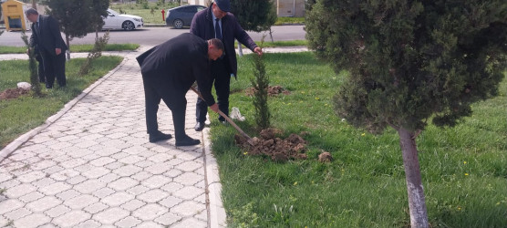 Ulu Öndər Heydər Əliyevin anadan olmasının 103-cü il dönümünə həsr olunmuş ağacəkmə aksiyası təşkil olundu