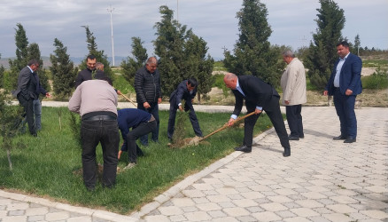 Ulu Öndər Heydər Əliyevin 103-cü il dönümünə həsr olunmuş ağacəkmə aksiyası təşkil olundu
