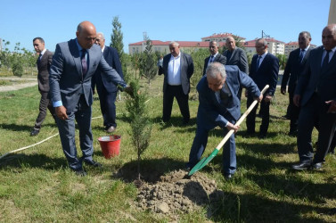 Ulu Öndər Heydər Əliyevin doğum günü münasibətilə iməcilik təşkil olundu, ağac və gül kolları əkildi