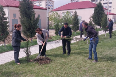 Ulu Öndər Heydər Əliyevin 103-cü il dönümünə həsr olunmuş ağacəkmə aksiyası təşkil olundu