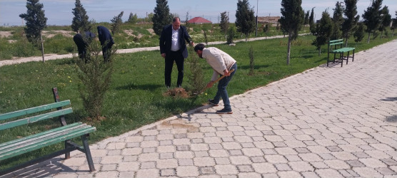 Ulu Öndər Heydər Əliyevin anadan olmasının 103-cü il dönümünə həsr olunmuş ağacəkmə aksiyası təşkil olundu