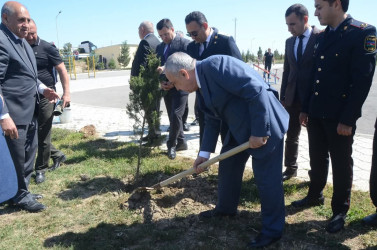 Ulu Öndər Heydər Əliyevin doğum günü münasibətilə iməcilik təşkil olundu, ağac və gül kolları əkildi
