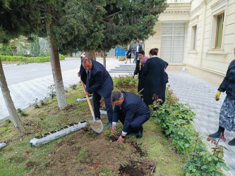 “Konstitusiya və Suverenlik İli” çərçivəsində  gül kolları əkildi