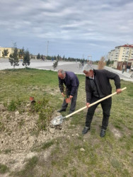“Konstitusiya və Suverenlik İli” çərçivəsində  gül kolları əkildi