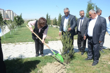 Ulu Öndər Heydər Əliyevin doğum günü münasibətilə iməcilik təşkil olundu, ağac və gül kolları əkildi