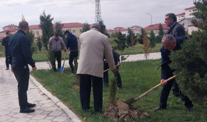 Ulu Öndər Heydər Əliyevin 103-cü il dönümünə həsr olunmuş ağacəkmə aksiyası təşkil olundu